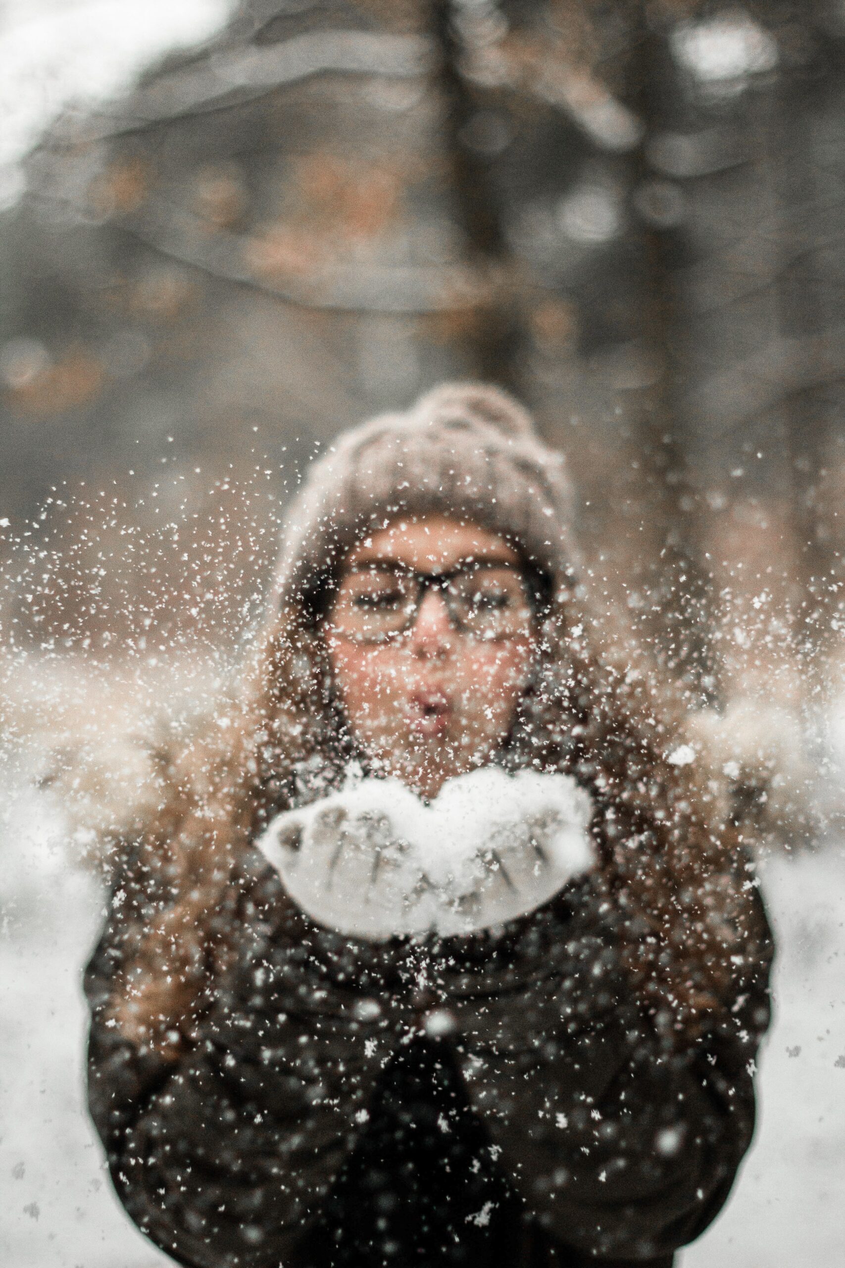 Read more about the article *December News*​