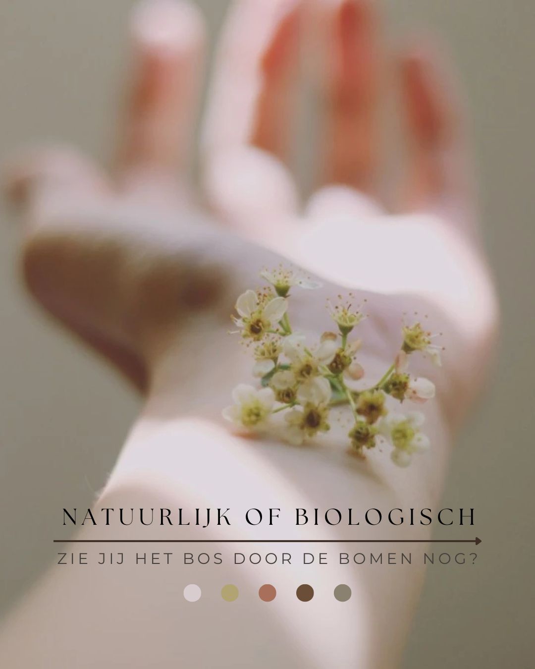 Read more about the article Natuurlijk of Biologisch